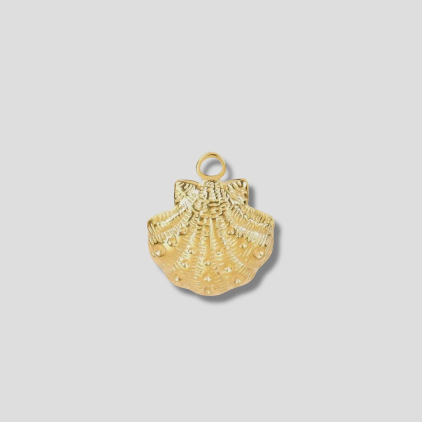 Shell Charm