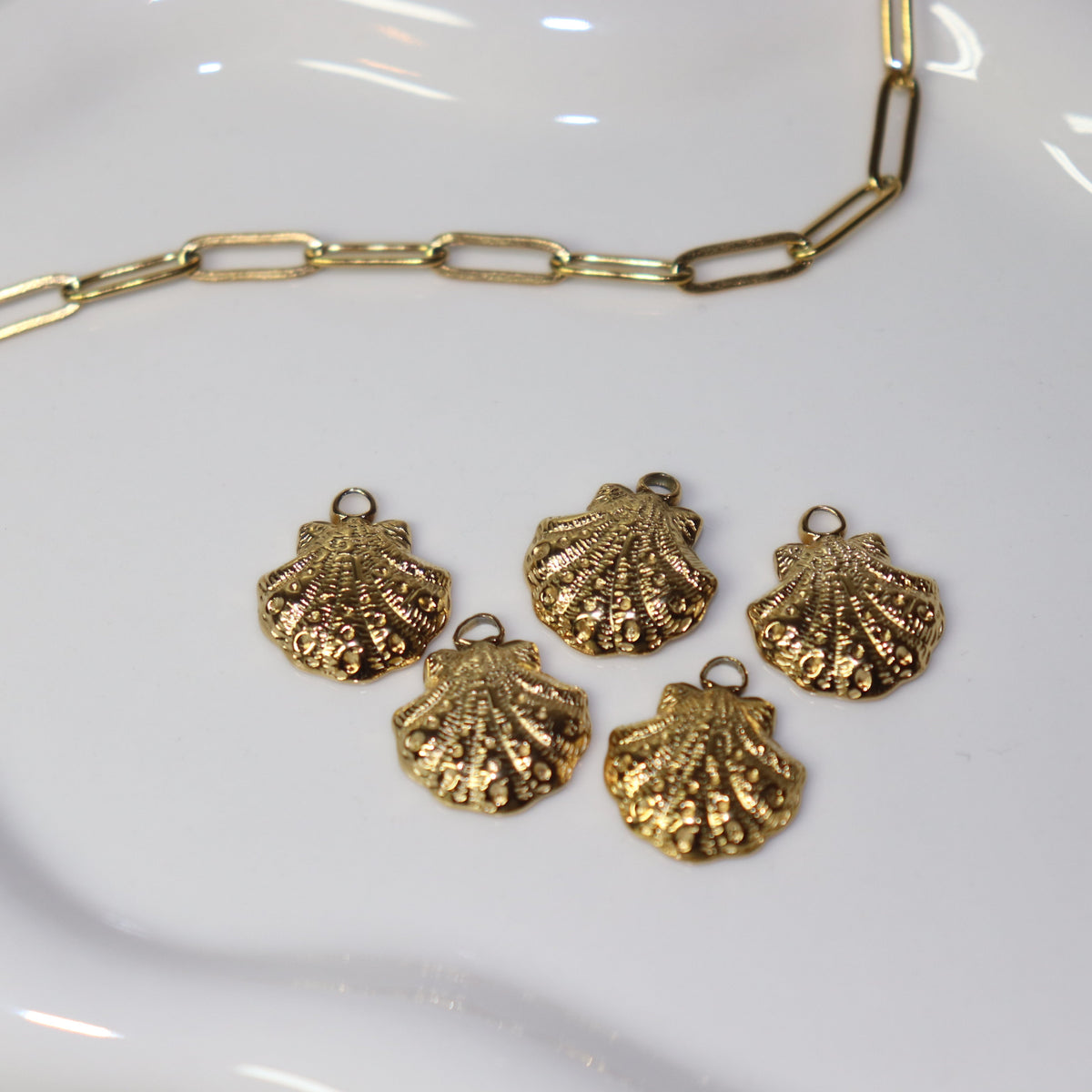 Shell Charm