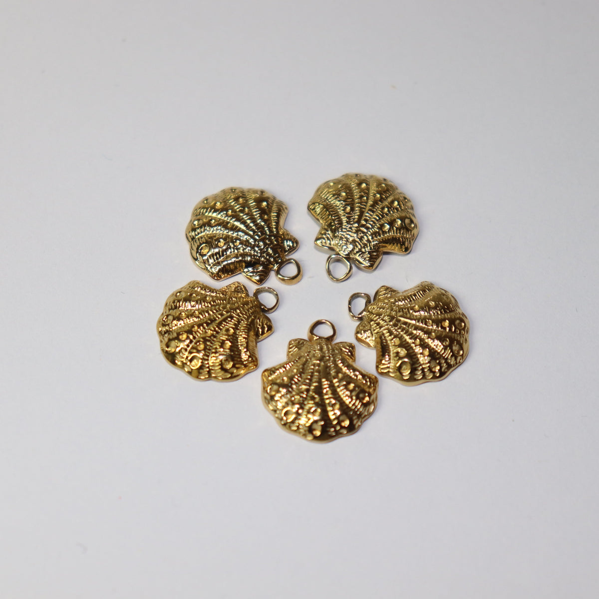 Shell Charm
