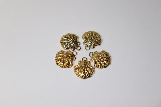 Shell Charm