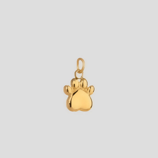 Paw Charm