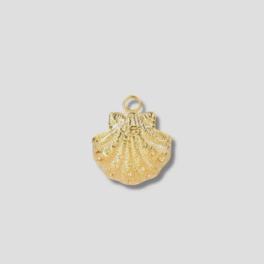 Shell Charm